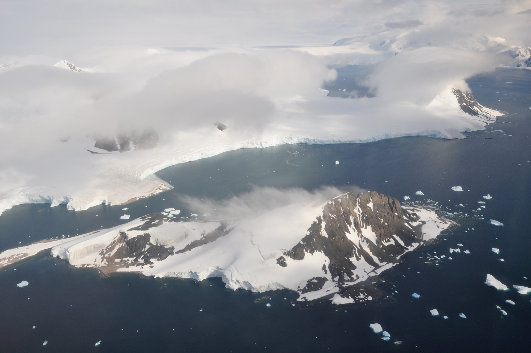 Península Antártica vai começar a estar sujeita a espécies invasoras