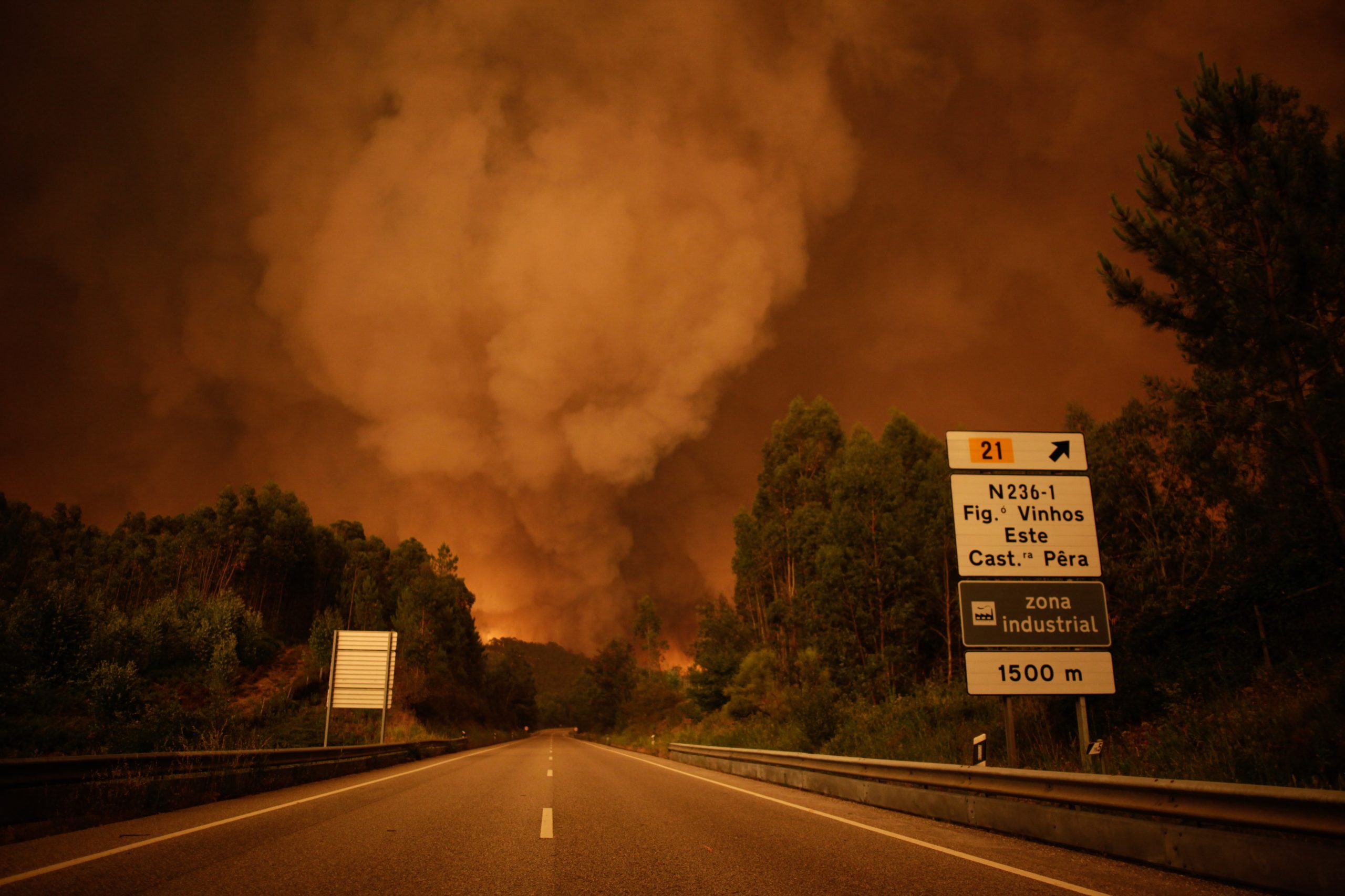 Pontos essenciais do relatório sobre os incêndios em Pedrógão e Góis