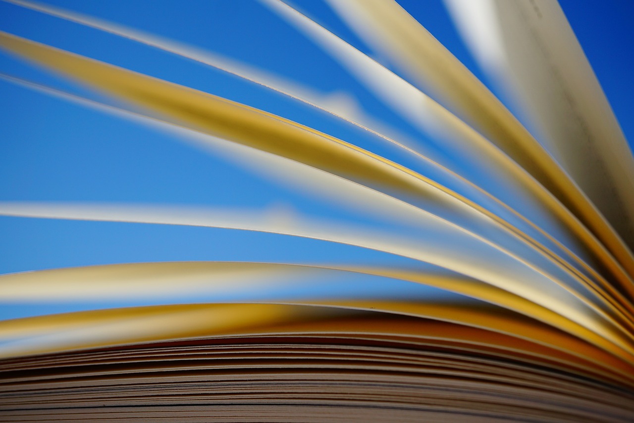 “Tsundoku”: hábito de acumular livros ganha destaque no Dia Mundial do Livro