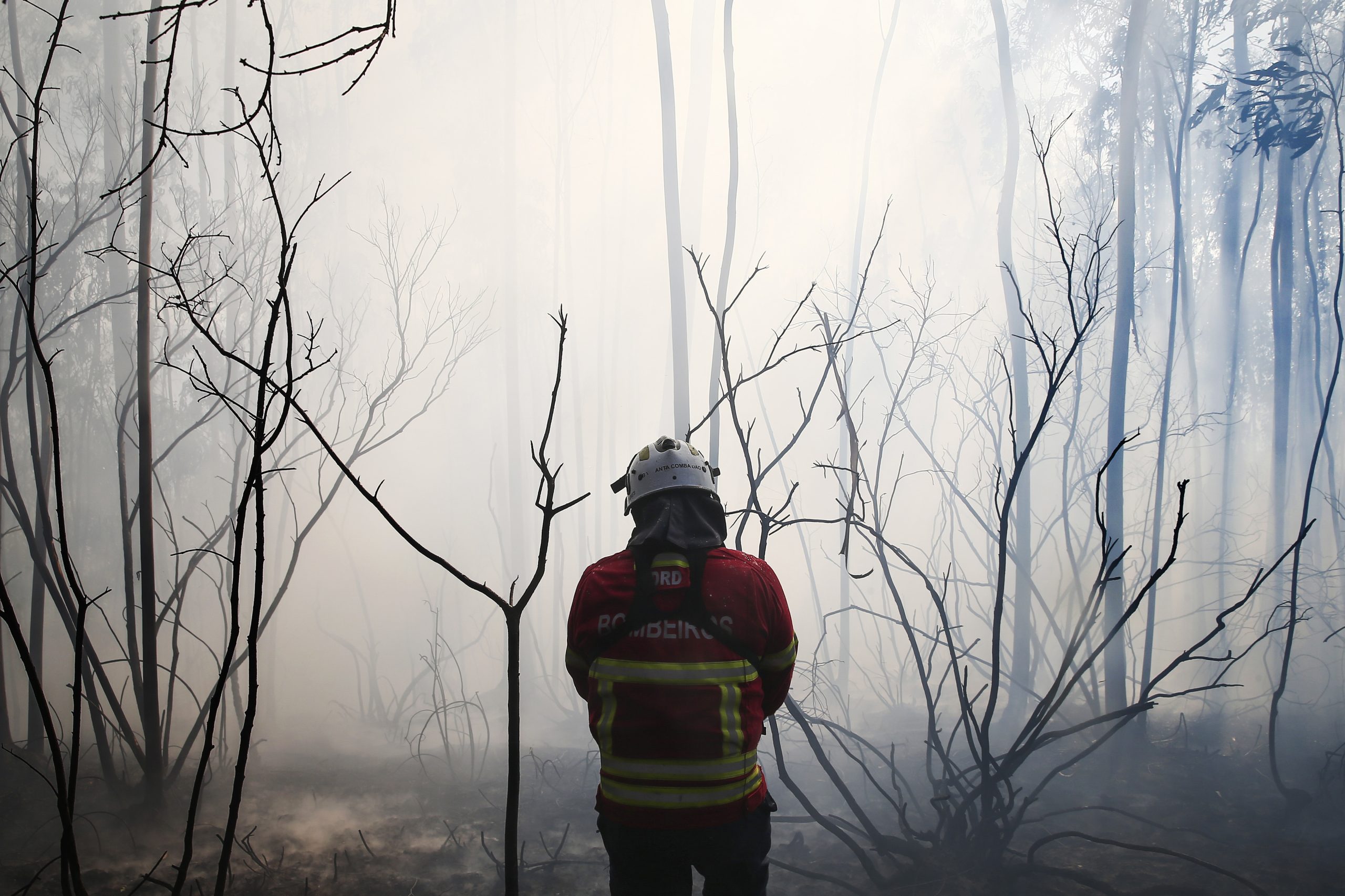Fogo em Azambuja em rescaldo e sem registo de perigo para habitações