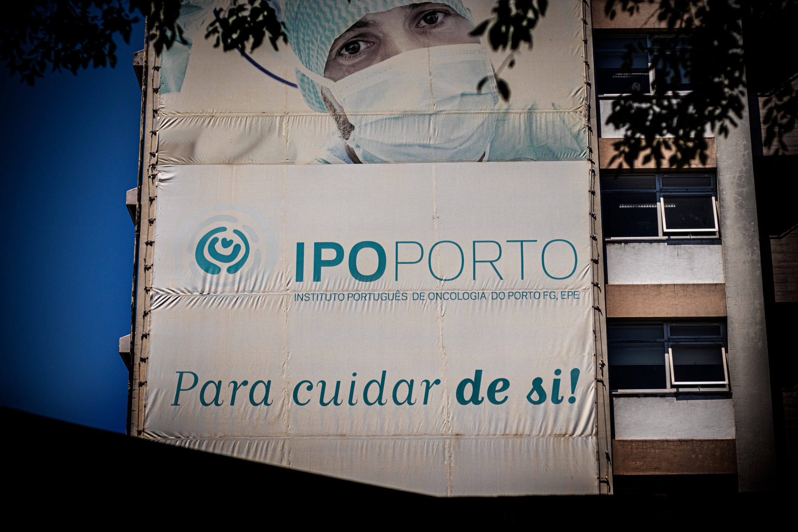 Especialista em cancro na cabeça e pescoço recebe novo Prémio do IPO do Porto