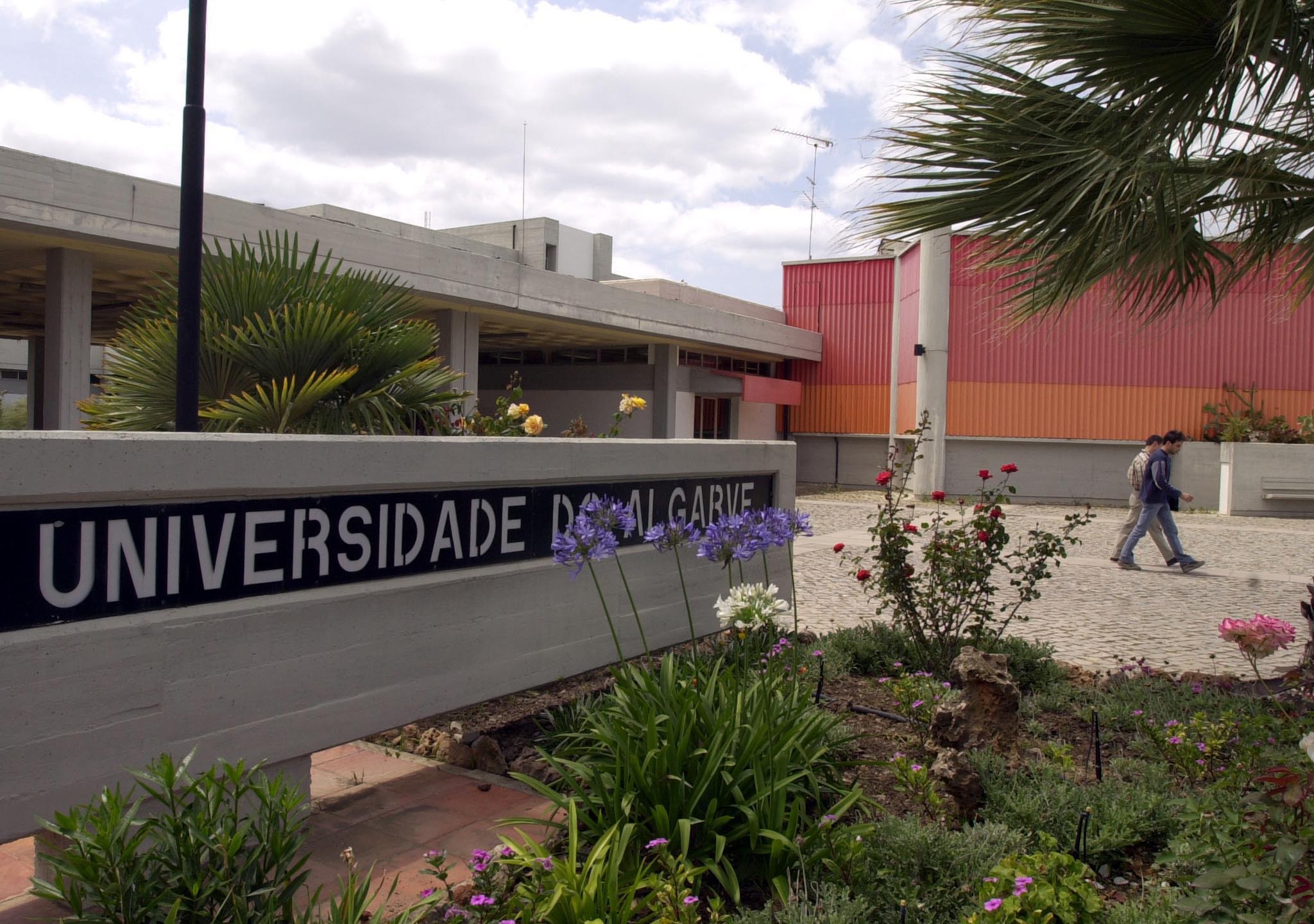 PS/Algarve pede revisão do programa de empréstimos a estudantes do Ensino Superior