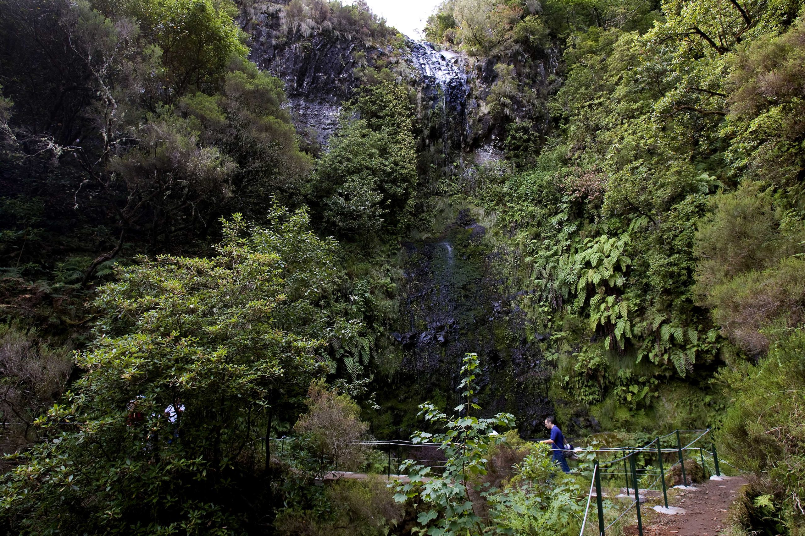 Turista suíço morre na sequência de queda num percurso pedestre na Madeira