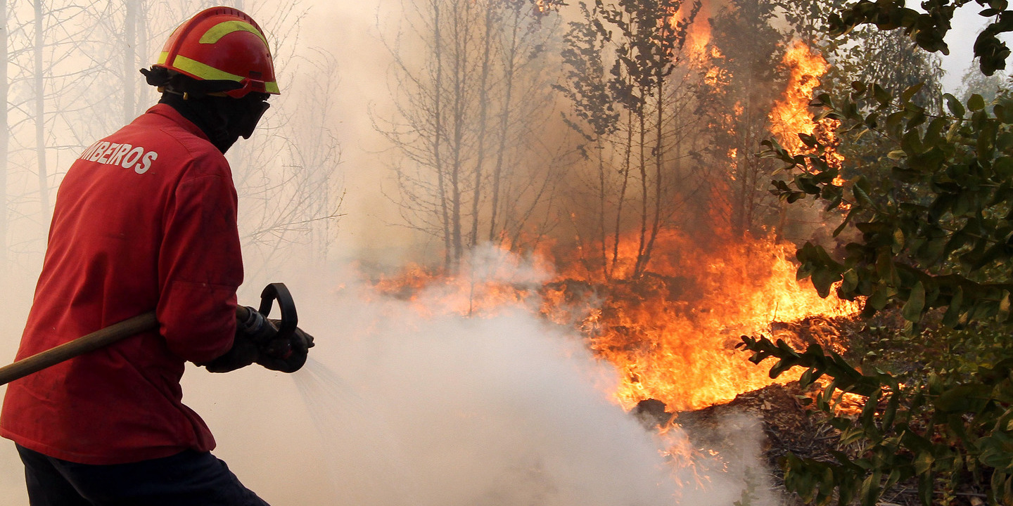 Incêndios: Fogo em Loulé dado como dominado
