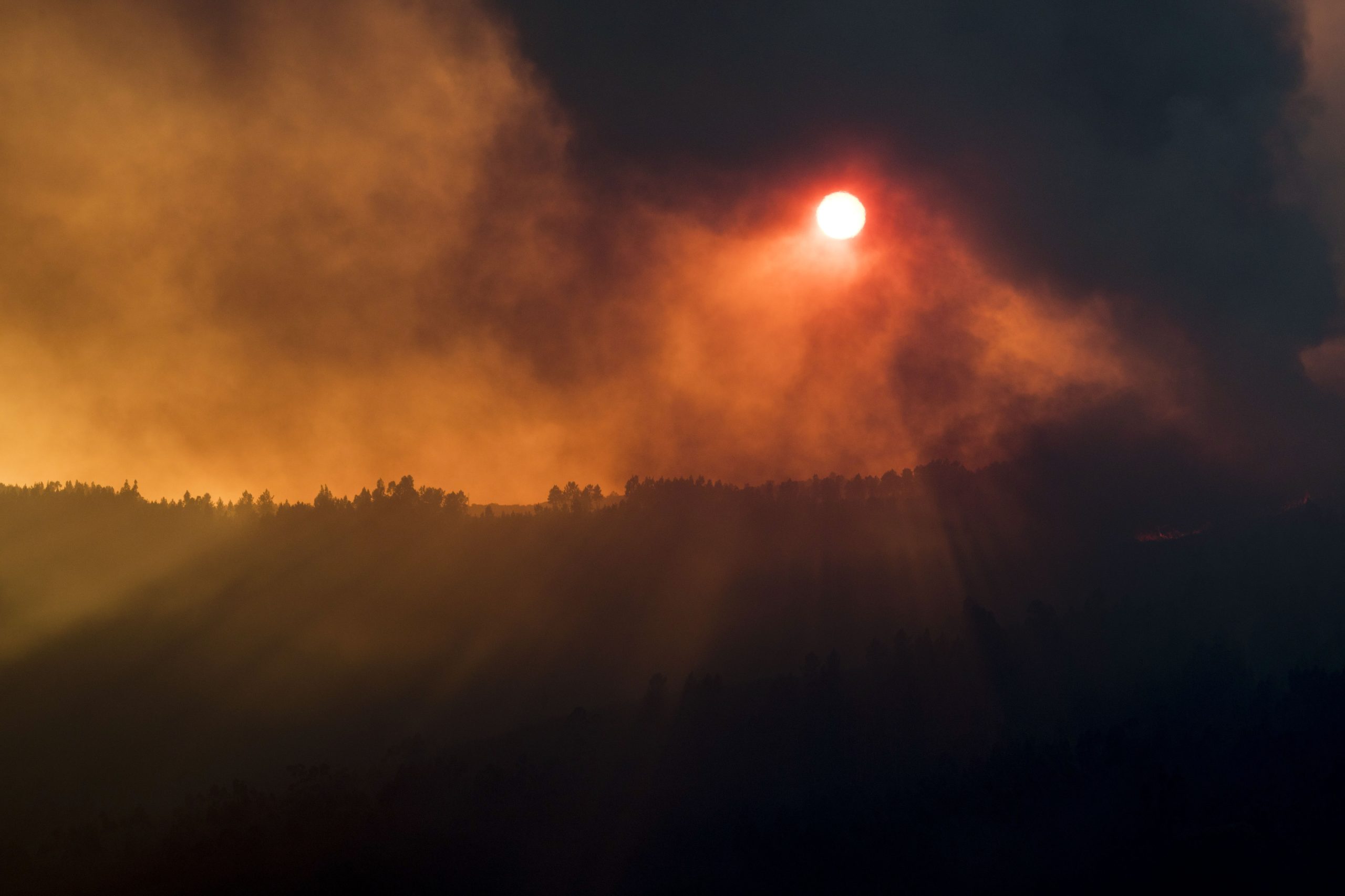 Quase 1.770 operacionais combatem cinco grandes fogos em Bragança, Guarda e Castelo Branco