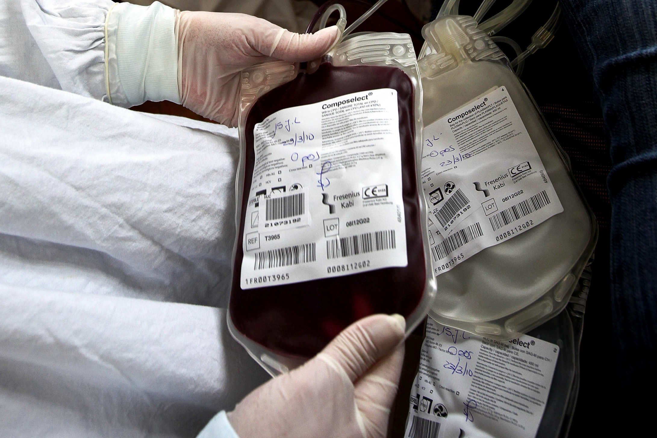 Cerveja e sangue? Hoje há colheitas de sangue na Superbock