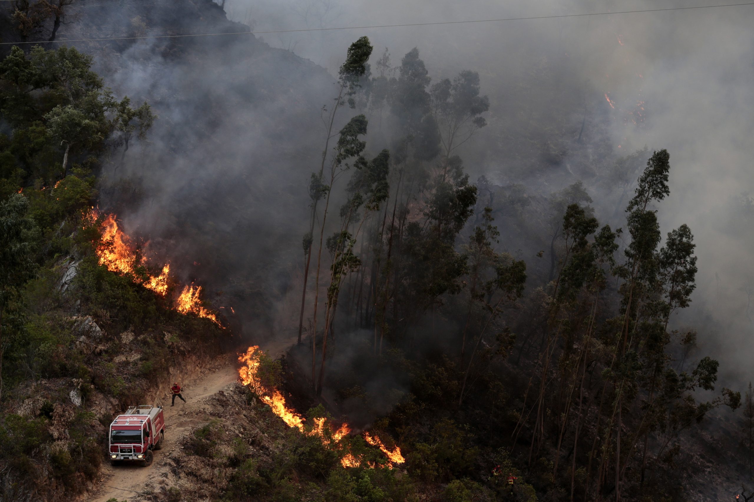 Frente de fogo já é visível perto da vila de Monchique