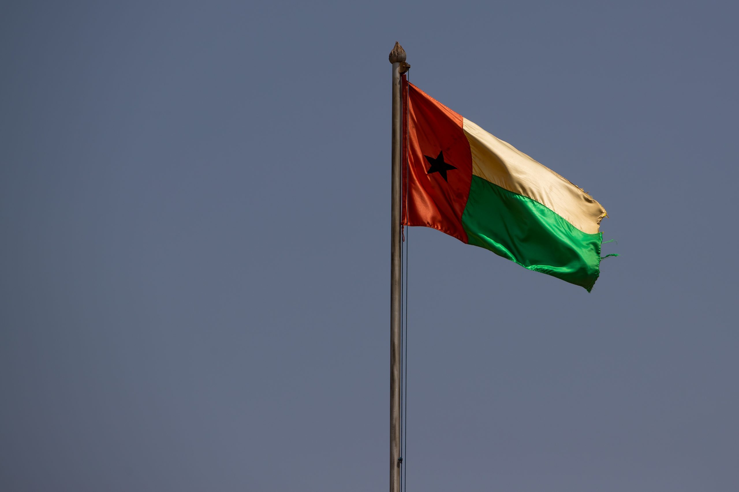 Vencedor das legislativas na Guiné-Bissau propõe Geraldo Martins para liderar o governo