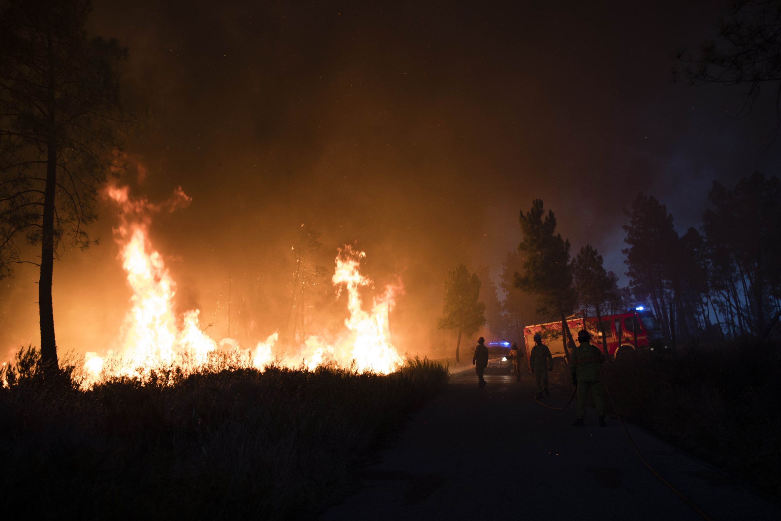 Extintos fogos em Celorico da Beira e Pinhel