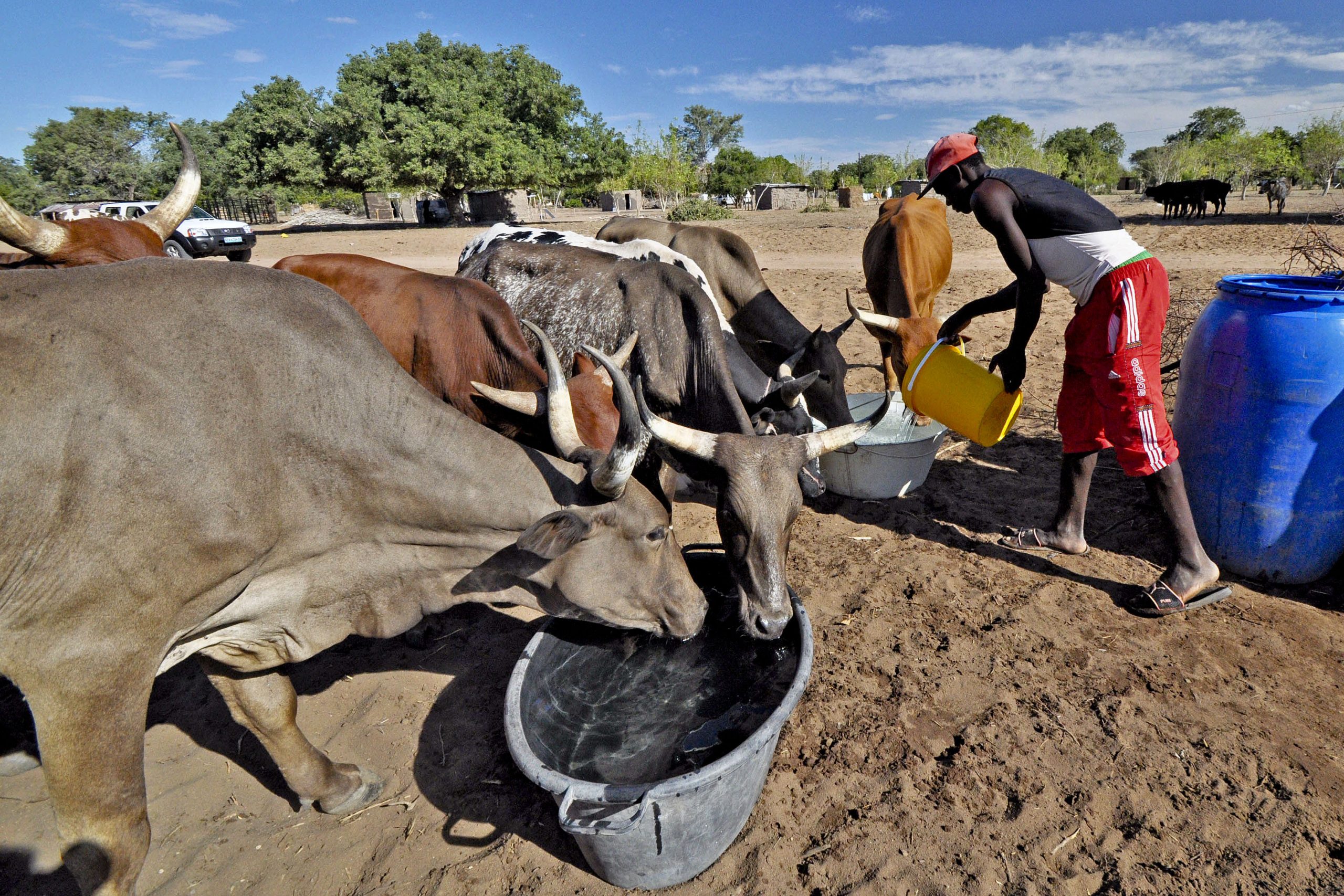 Filme sobre seca em Moçambique na final de prémio de alterações climáticas