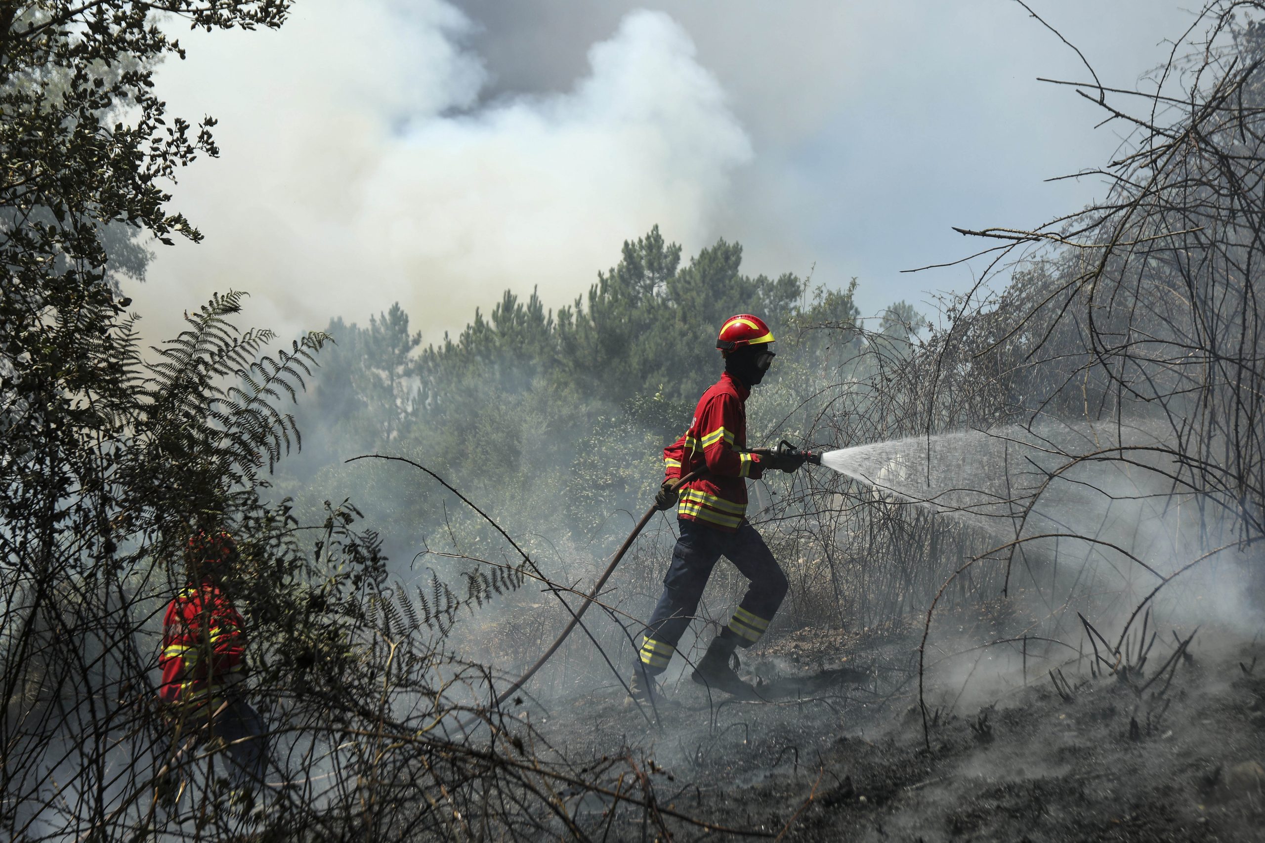 Incêndios: Fogo destruiu casa de emigrantes e outras duas em Poiares