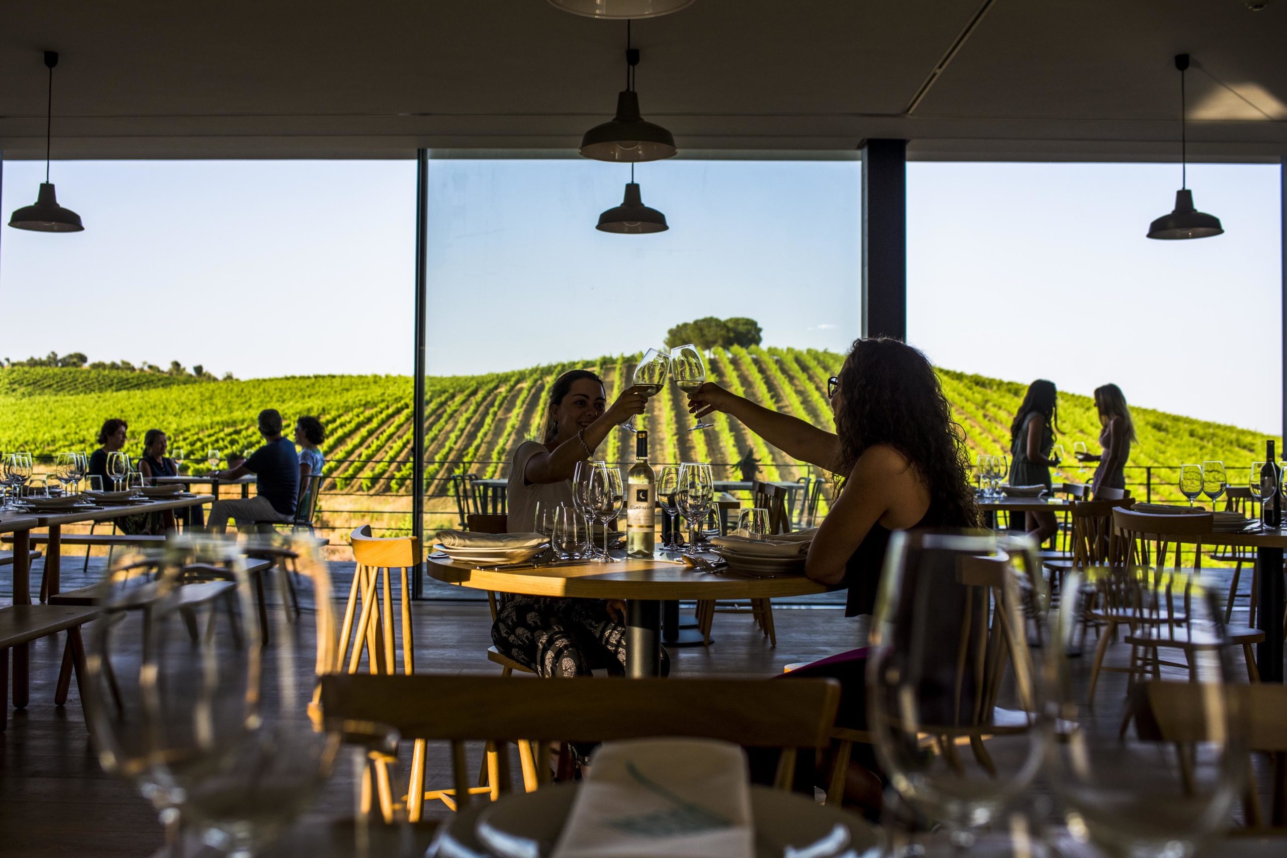 Quinta do Quetzal lança novas experiências de enoturismo para descobrir o Alentejo através do vinho, gastronomia e arte