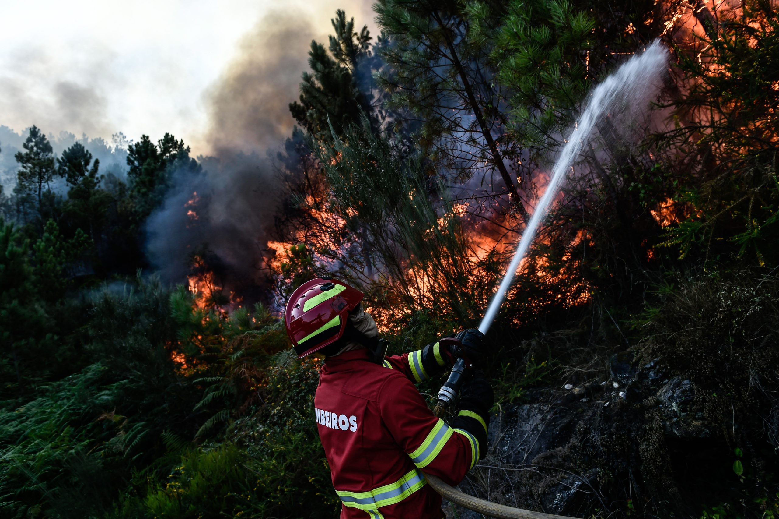Três fogos mobilizam quase 500 operacionais. Pampilhosa da Serra é o caso mais preocupante