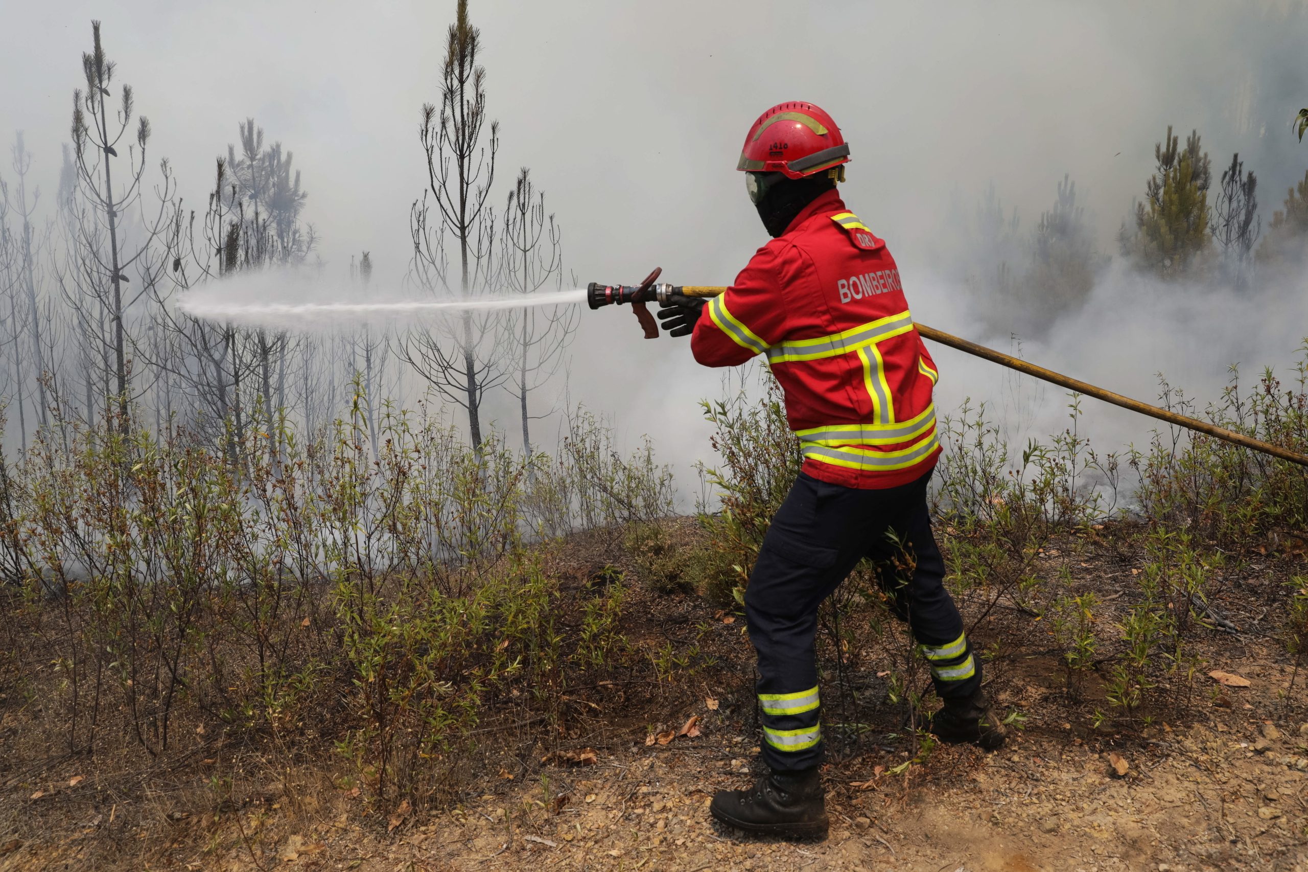 Incêndios: Extinto fogo que lavrou em Alfandega da Fé