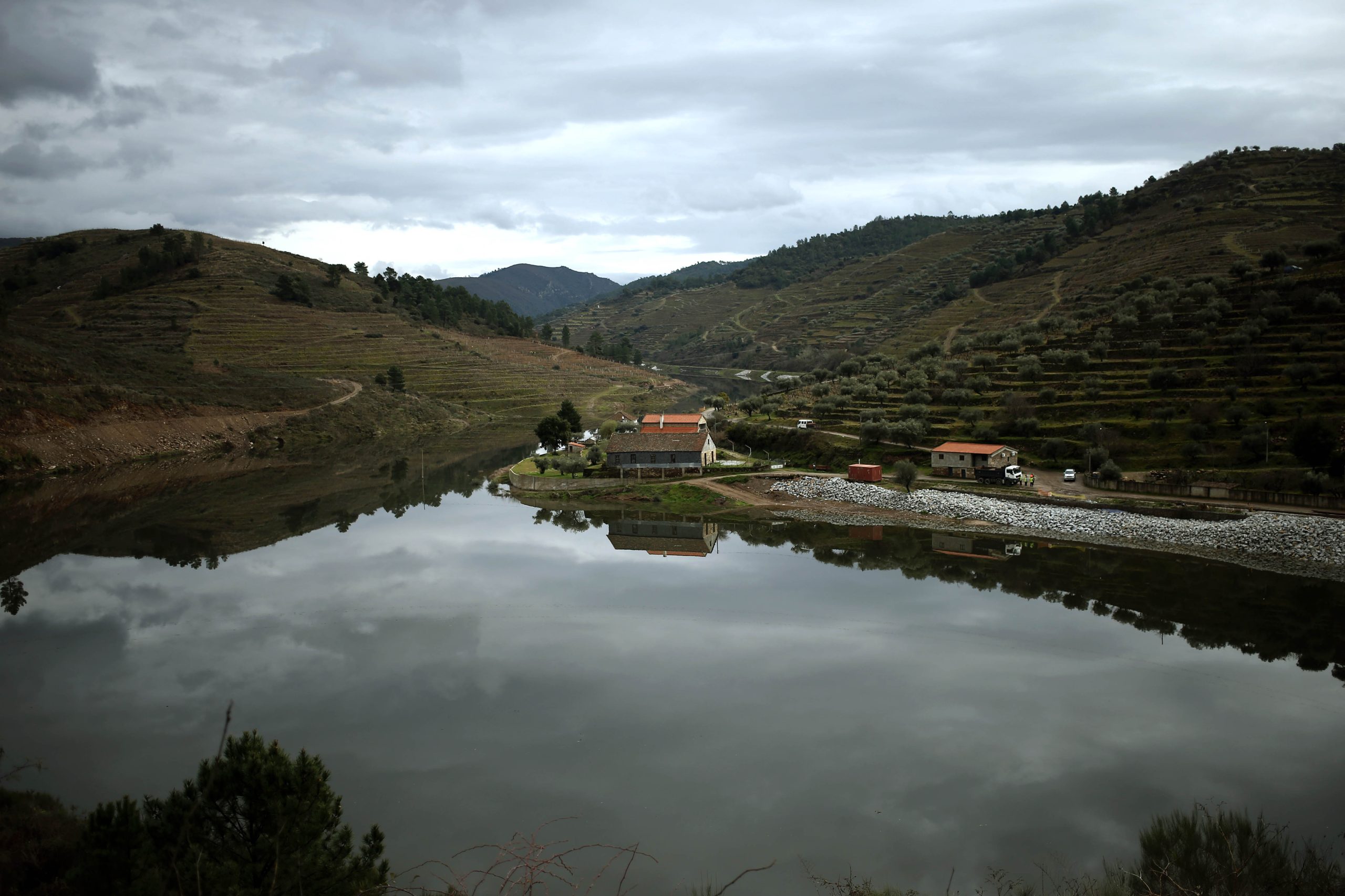 Parque do Tua vai testar em Portugal reflorestação com método de combate à seca