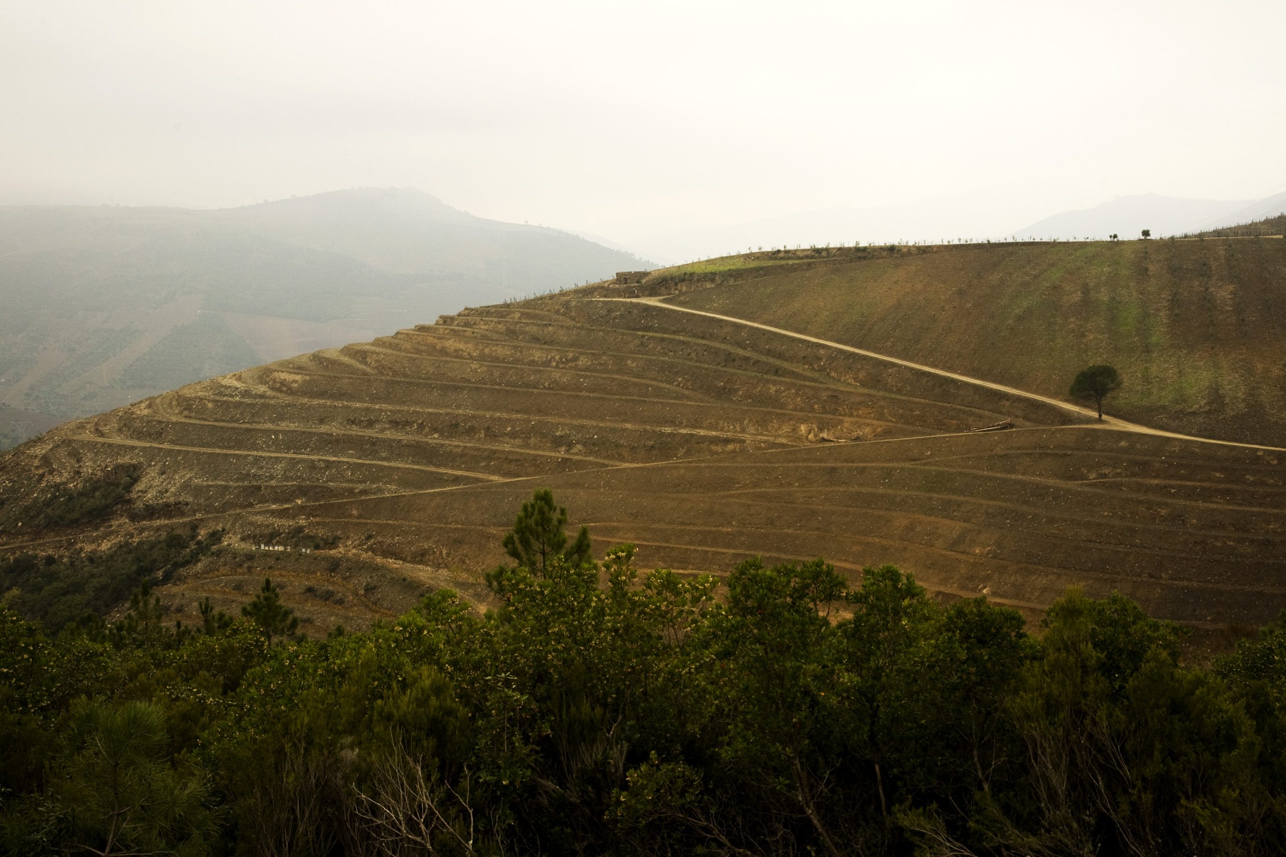 Rota turística com 200 quilómetros une Douro Internacional e Douro Vinhateiro
