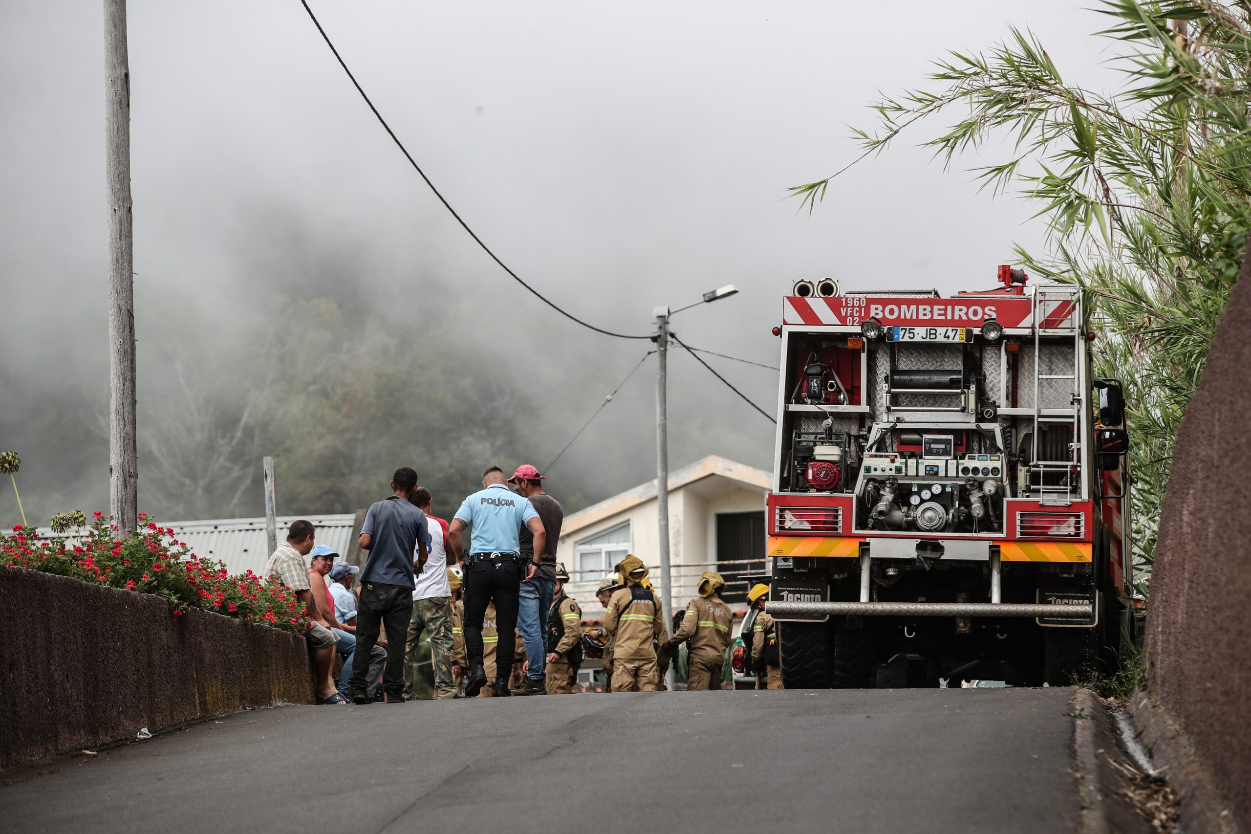 Incêndio/Madeira: Associação zero defende urgente relatório de avaliação para medidas antes das chuvas