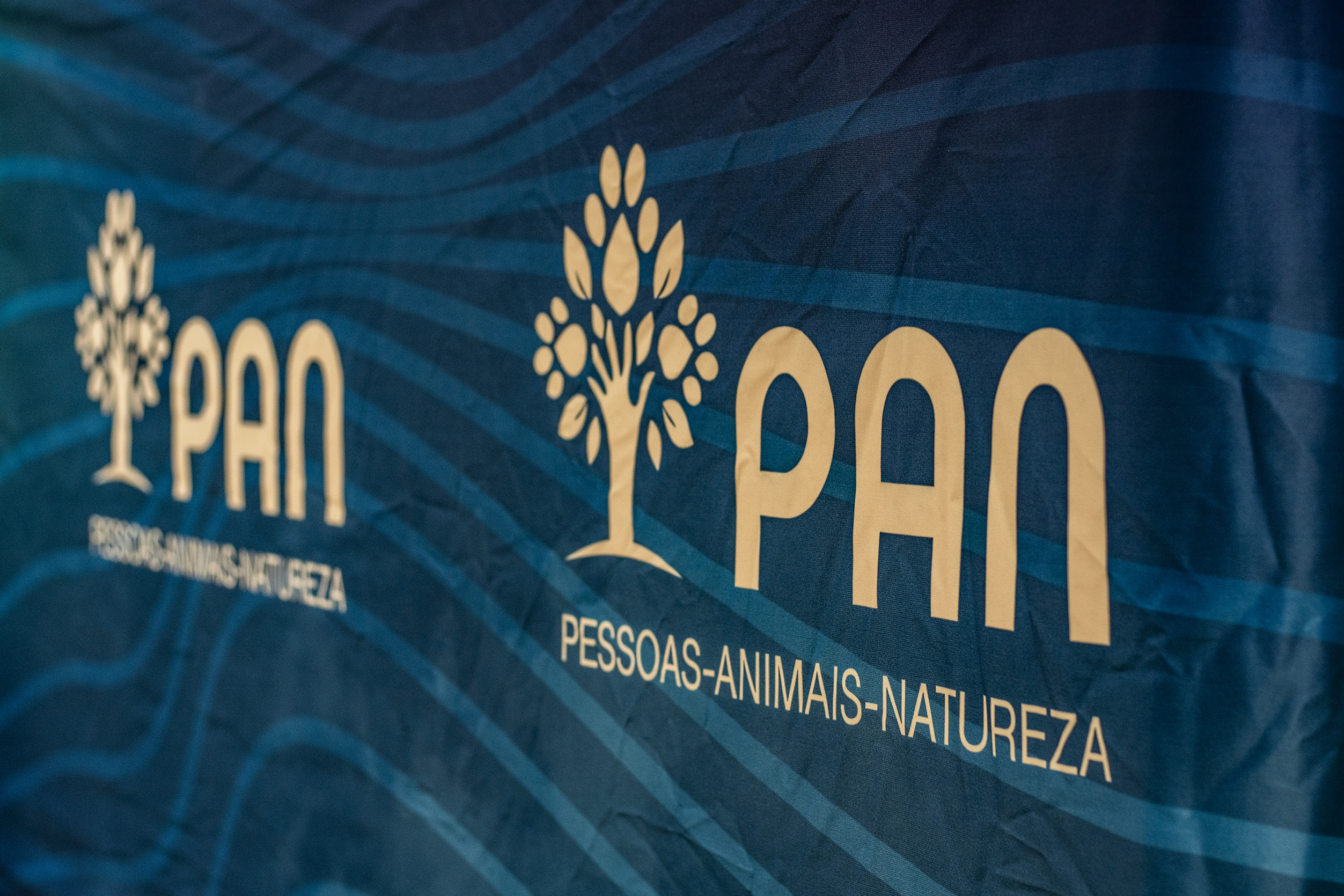 Deputada municipal e dirigente nacional Sandra Marques desfilia-se do PAN
