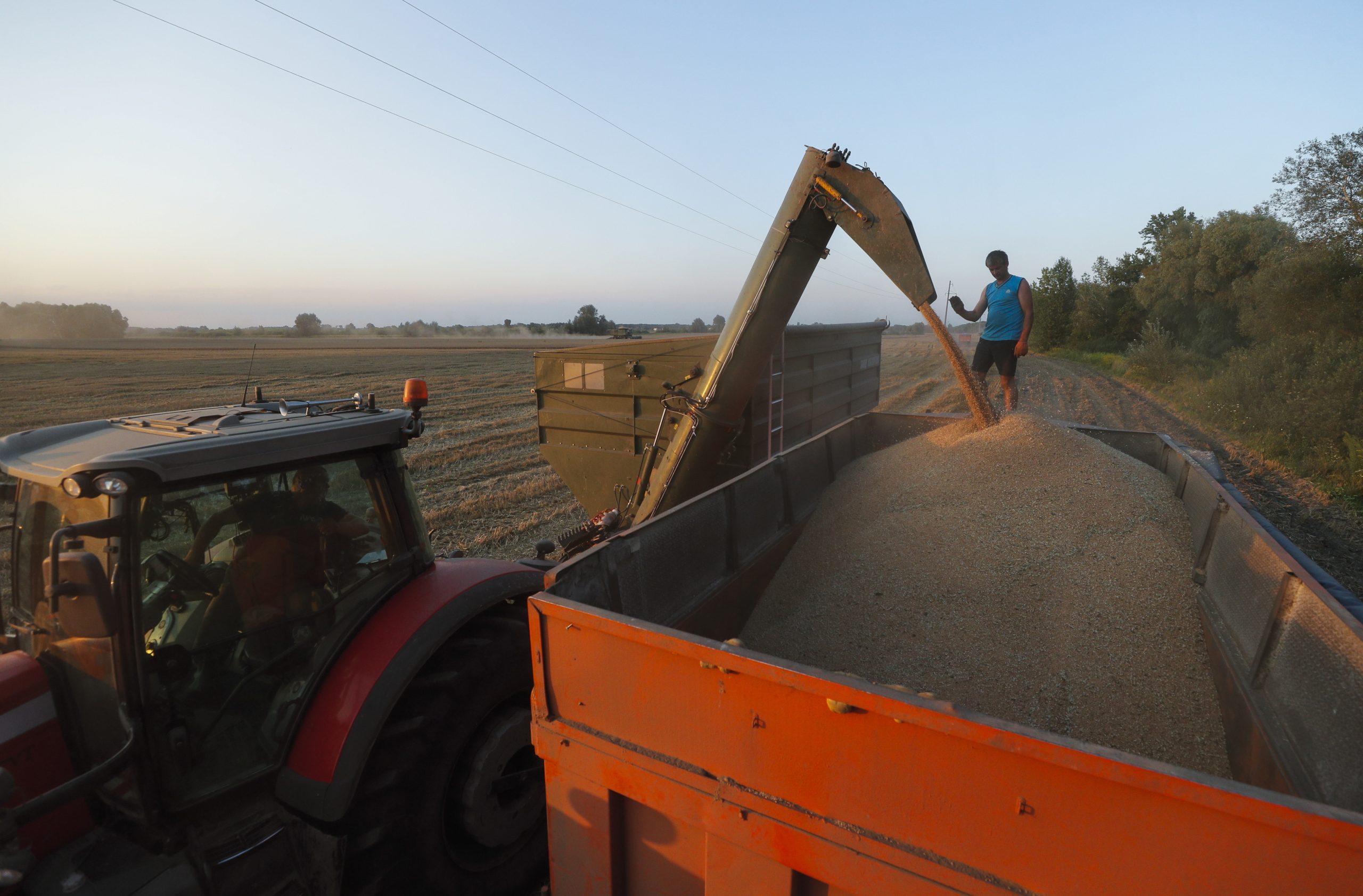 Cereais da Ucrânia: como a iniciativa Grain from Ukraine está a alimentar o mundo