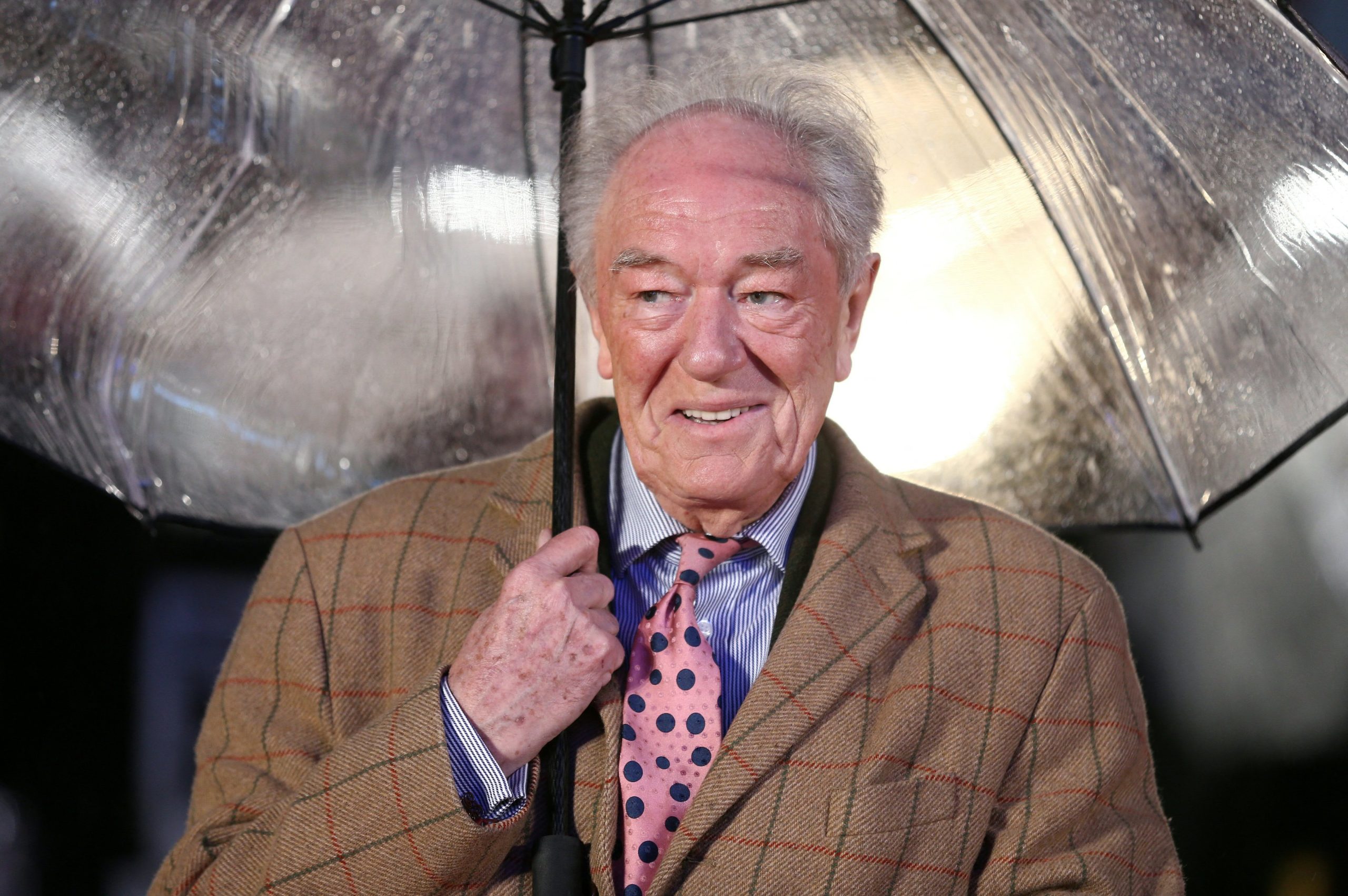 Morreu Michael Gambon, o segundo Dumbledore de Harry Potter