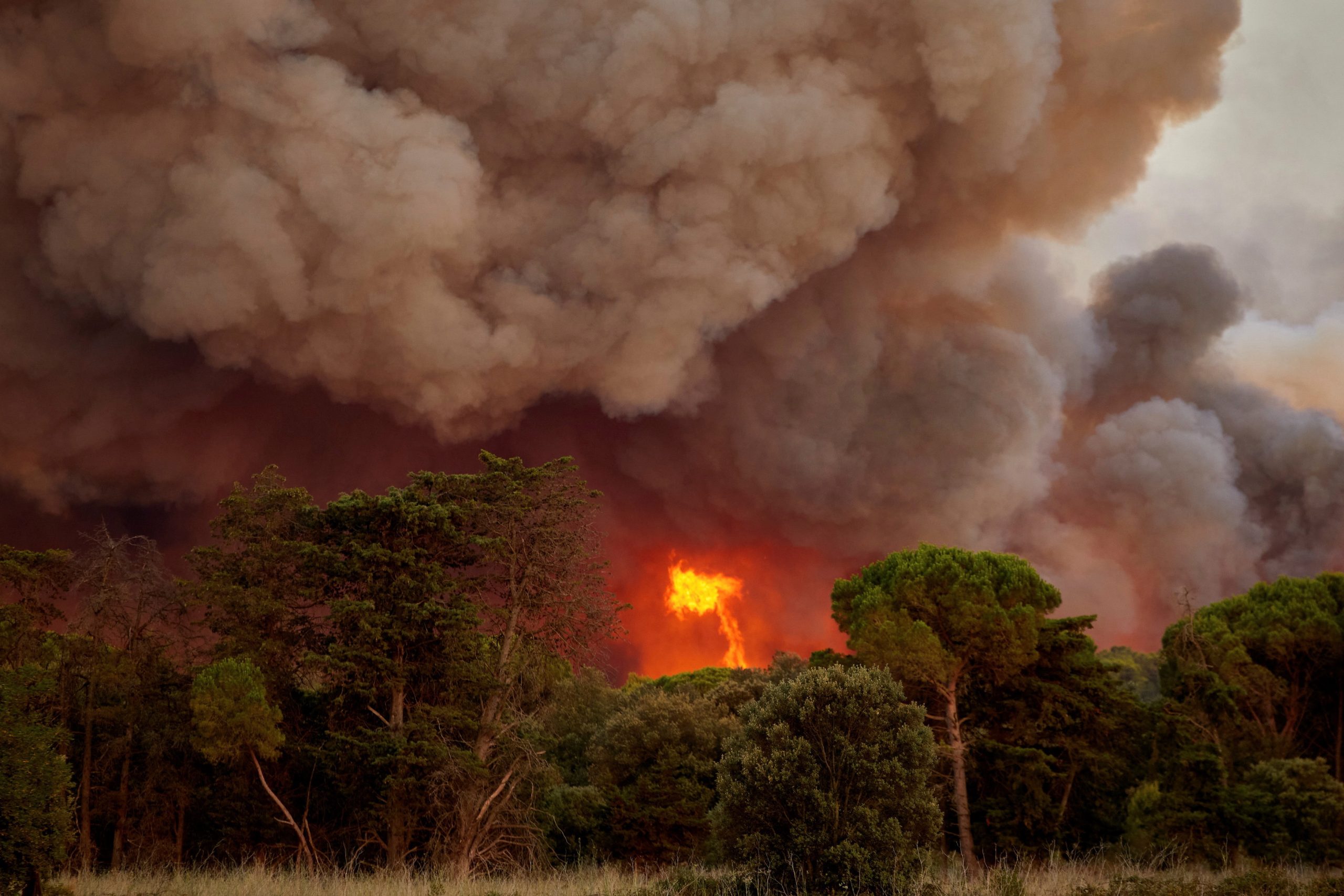 Sete anos e meio de prisão para autor de oito incêndios florestais em Vila Verde