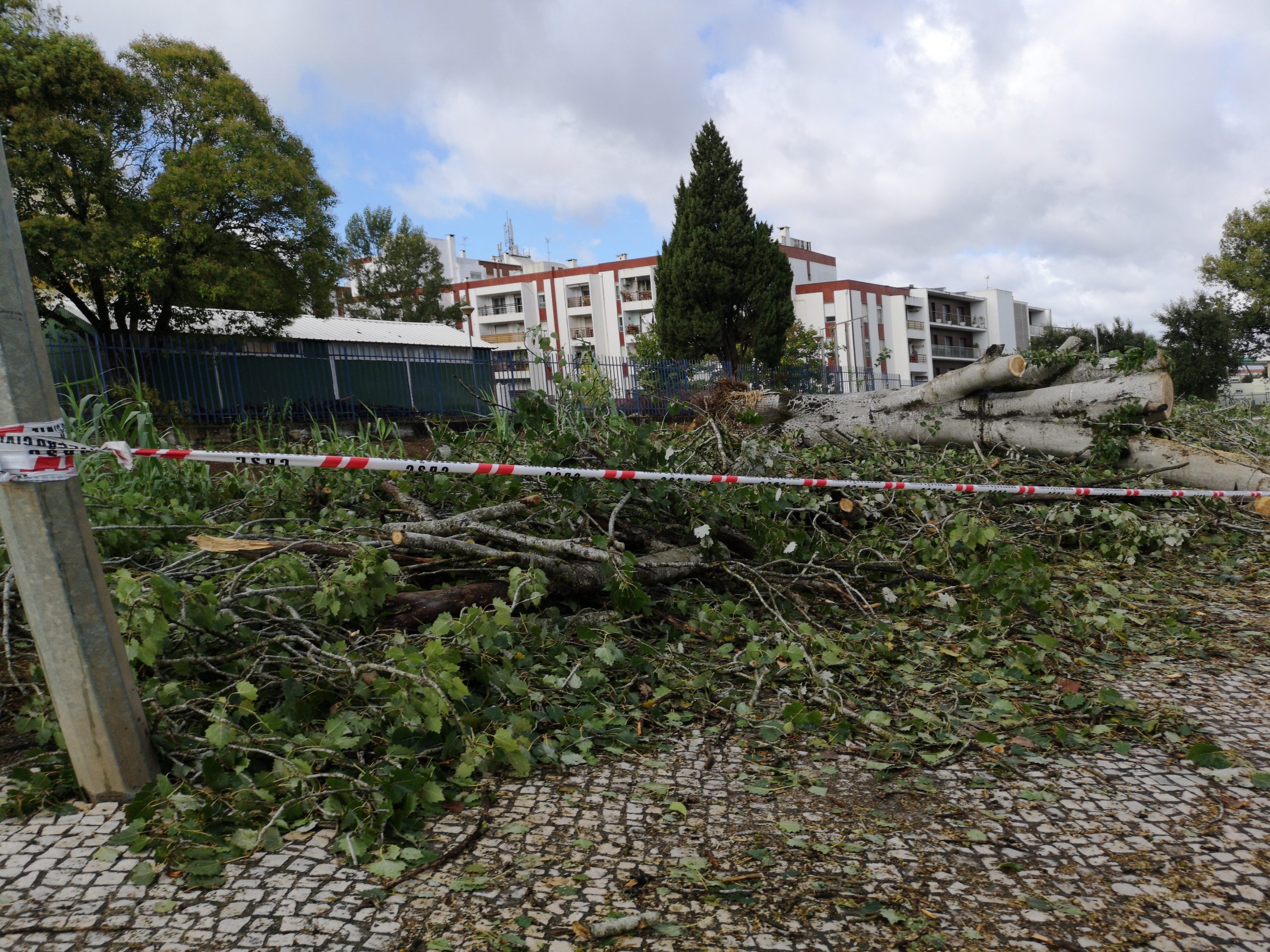 Tempestade Leslie. Comunidade Intermunicipal de Coimbra pede “medidas excecionais imediatas” após tempestade