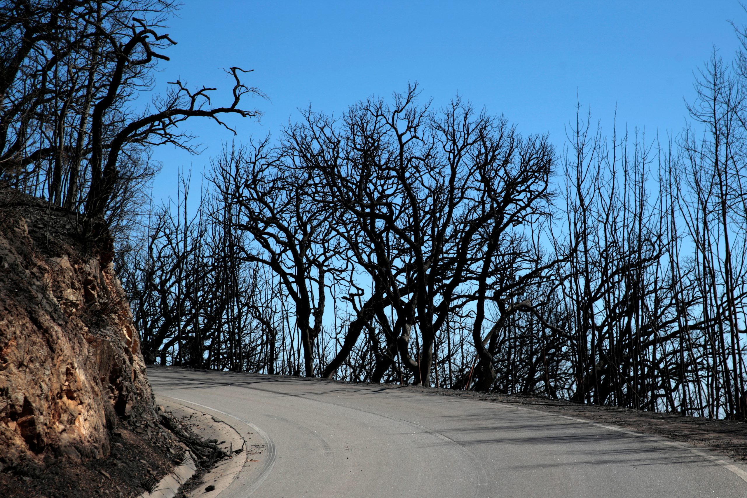 Autoridades atentas a reacendimentos no incêndio de Monchique-Portimão