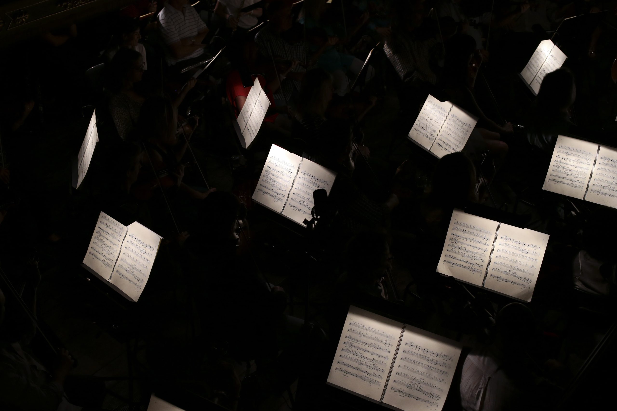 Orquestra Filamónica Portuguesa toca Beethoven dia 21 de junho, no Campo Pequeno