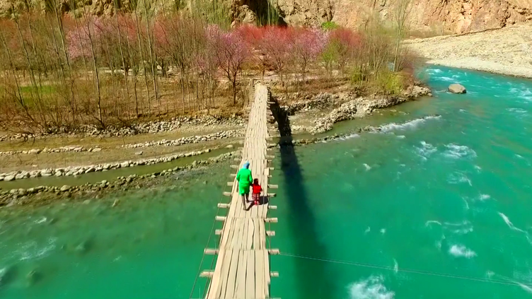Em Abril, flores mil: as imagens espetaculares das árvores na China