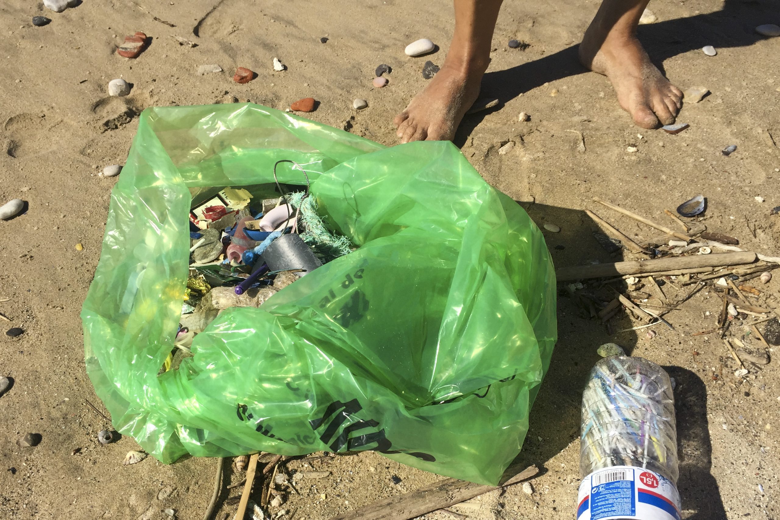 Voluntários recolhem 19 toneladas de lixo marinho na costa portuguesa