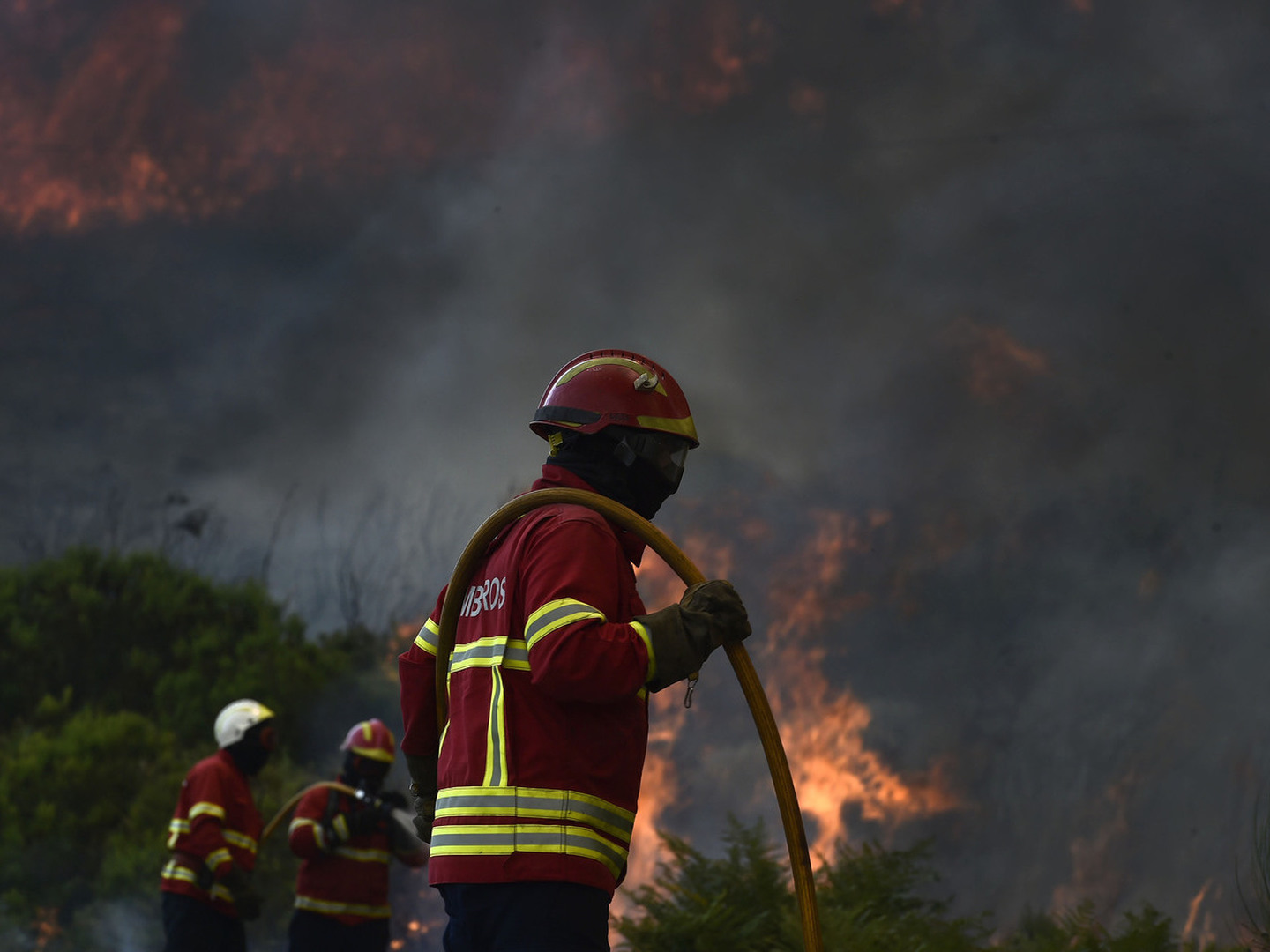 Local de incêndio na freguesia lisboeta de Carnide tem projeto de requalificação