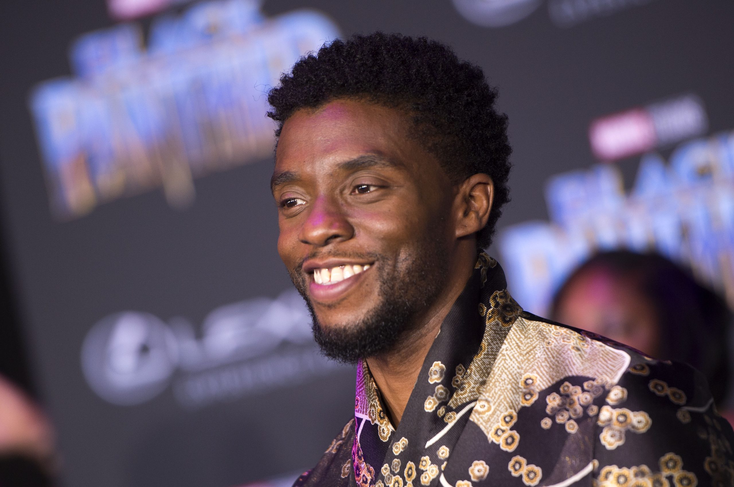 Pantera-negra, o novo super-herói e embaixador da diversidade de Hollywood