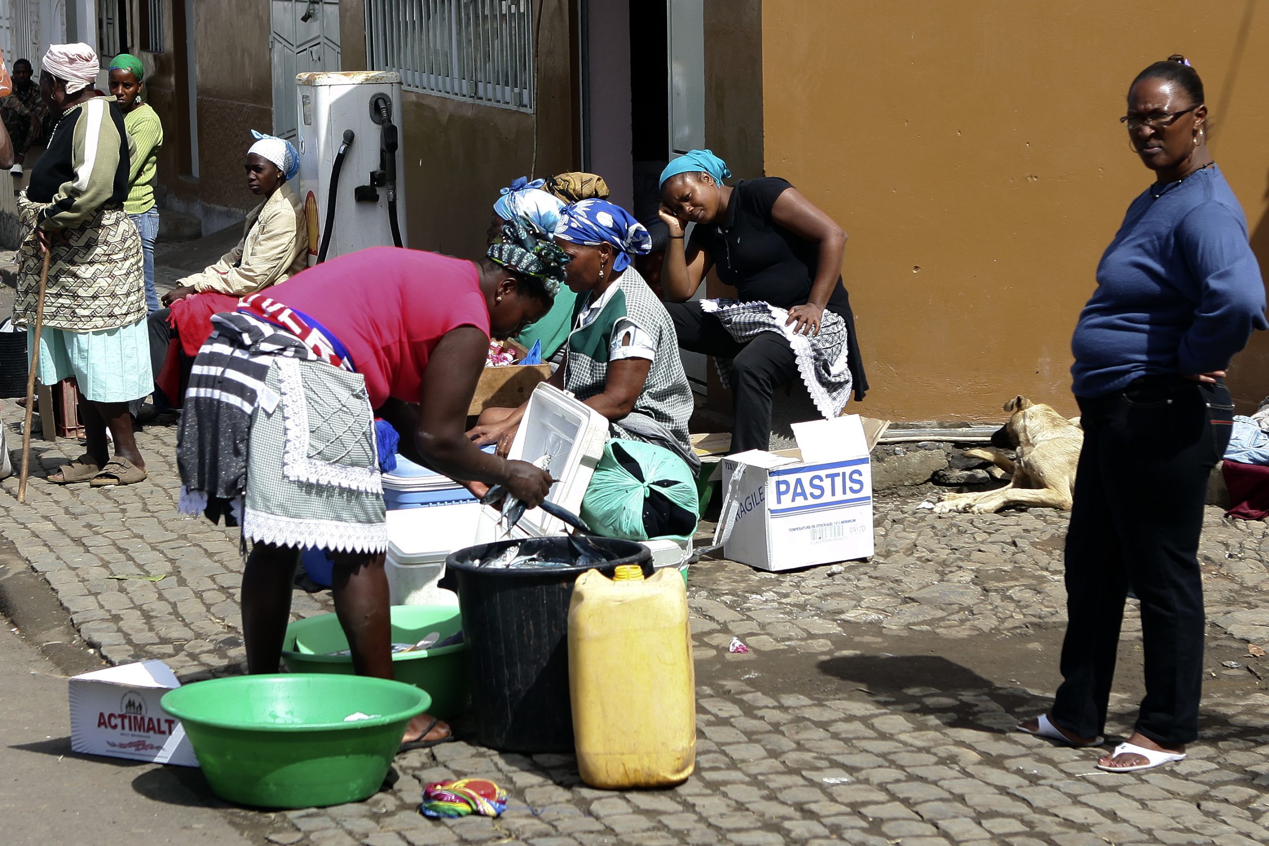 ONU promete apoiar Cabo Verde na realização do censo da população e habitação