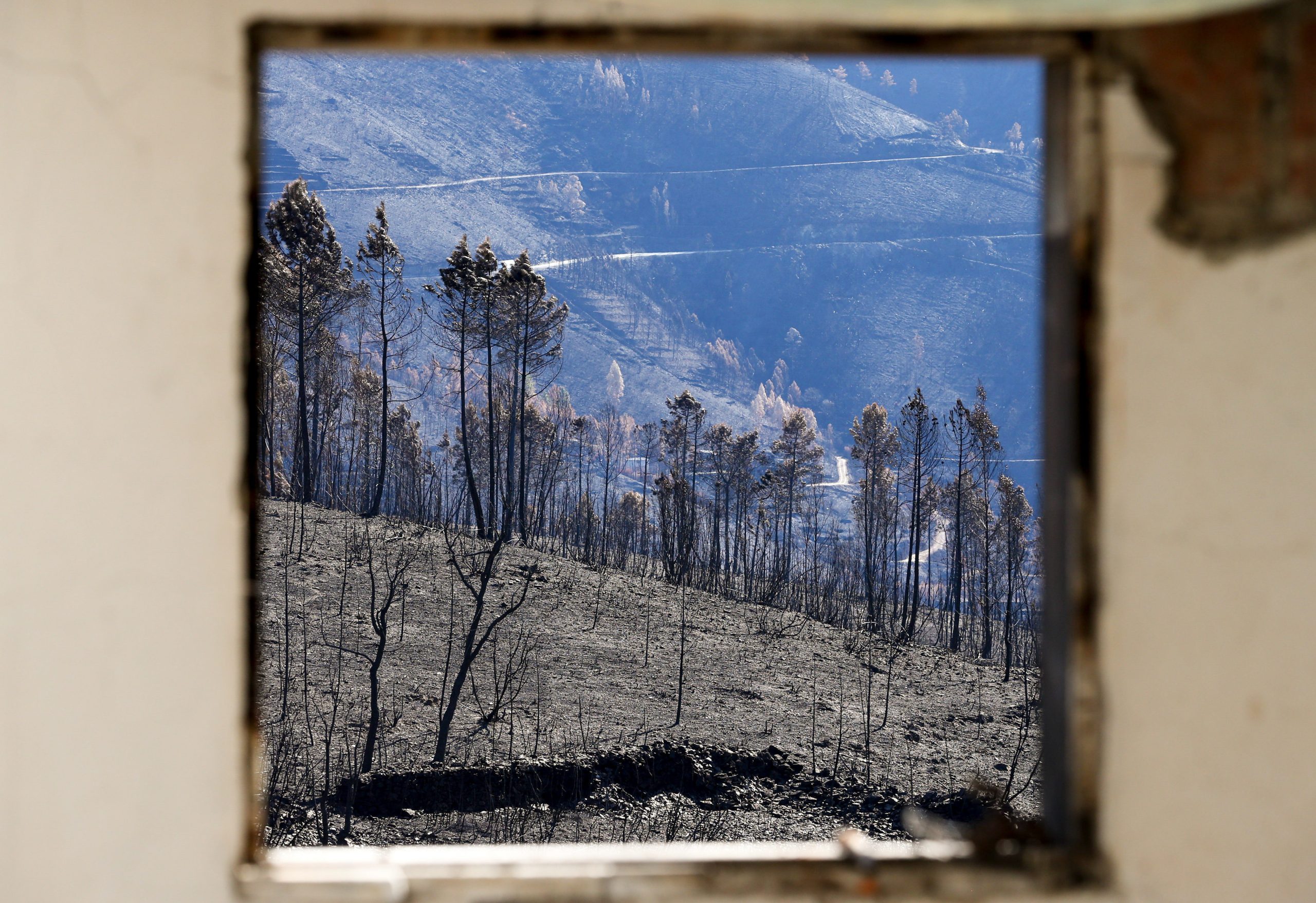 Incêndios: Últimas três casas por recuperar na Pampilhosa da Serra concluídas em breve