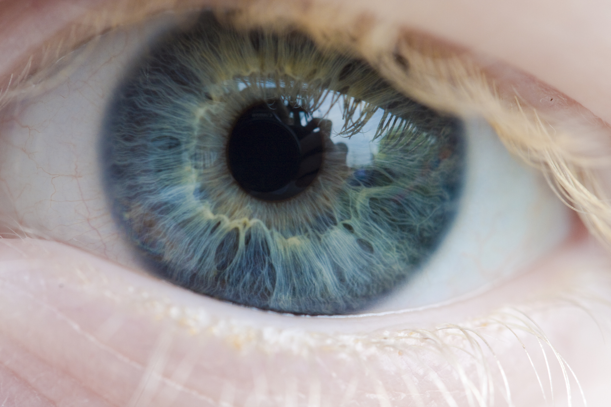 Pela primeira vez é criada em laboratório uma retina artificial com tecidos biológicos sintéticos