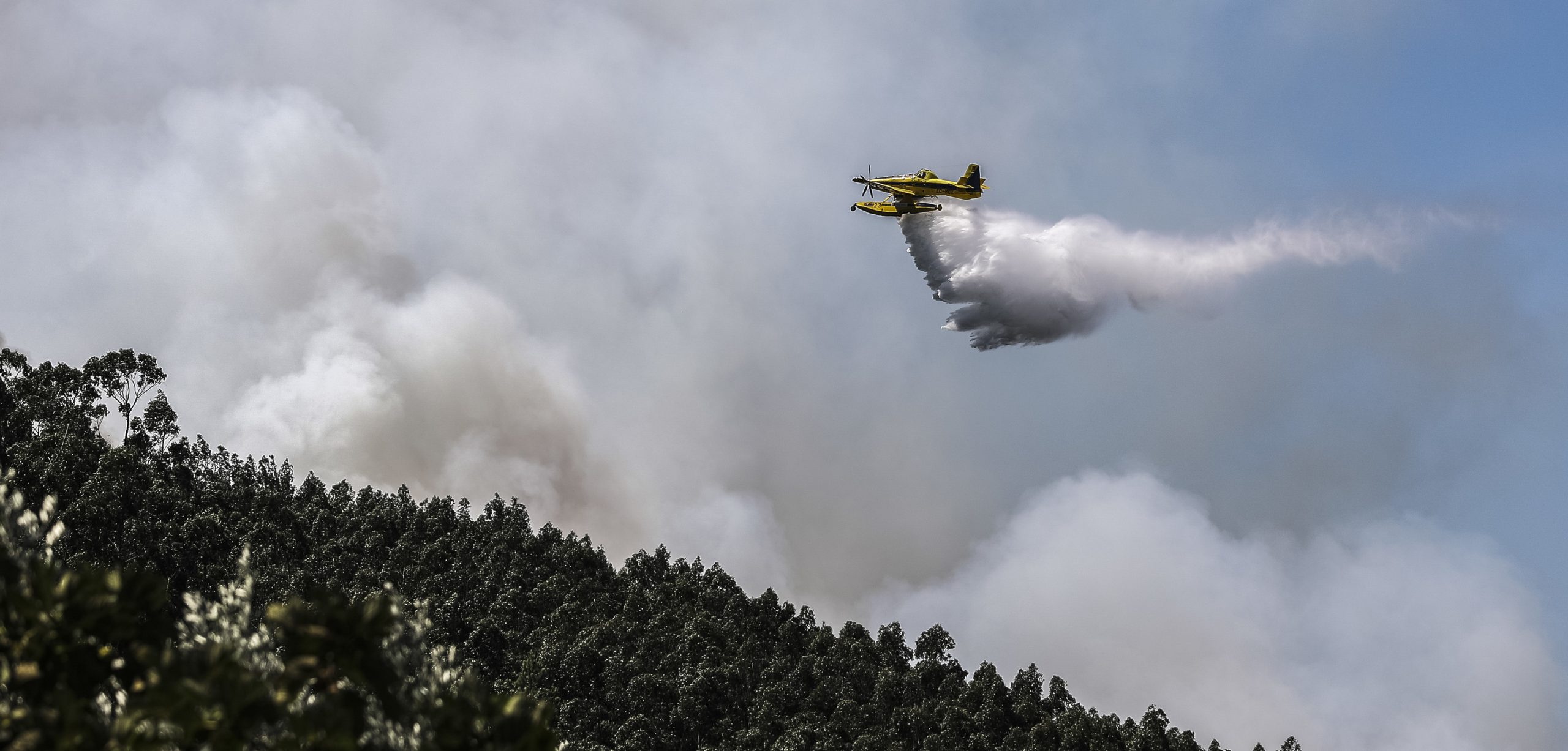 Dois fogos preocupam em Castro Daire, um deles combatido por mais de 200 operacionais