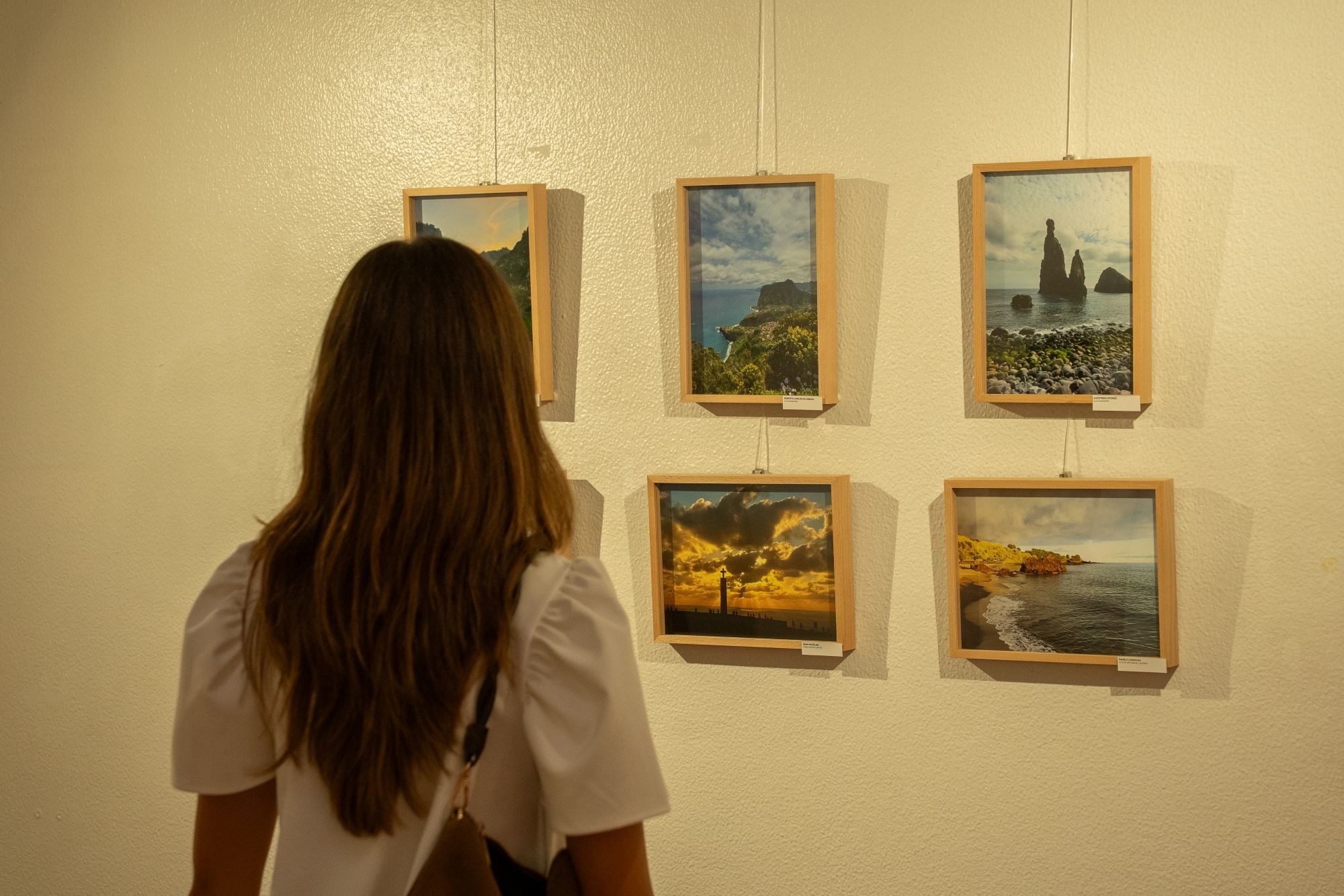 Entre uma viagem e outra, estes motoristas encontraram um Portugal para fotografar