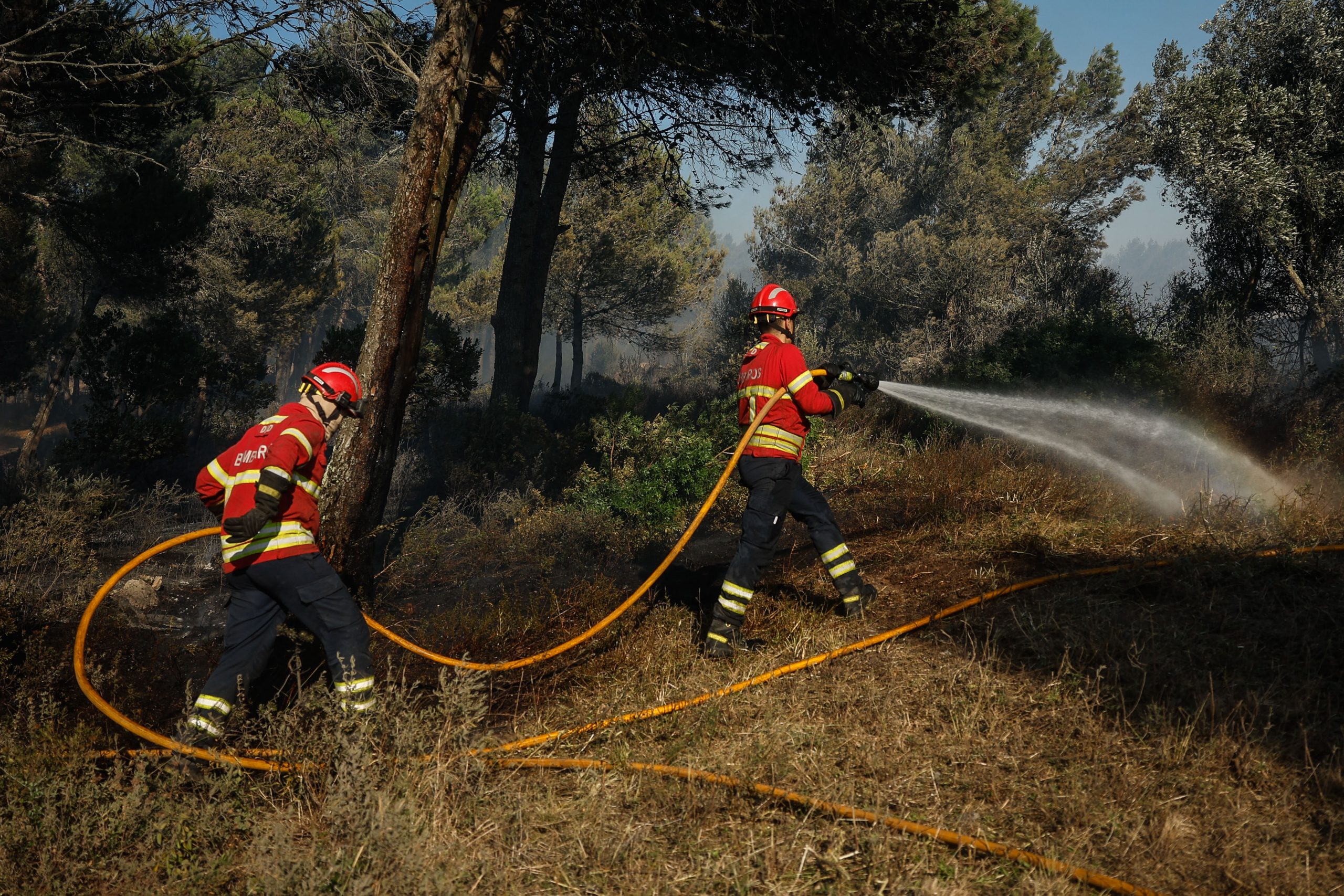Incêndios: Fogo em Vinhais em rescaldo após noite complicada para 70 habitantes