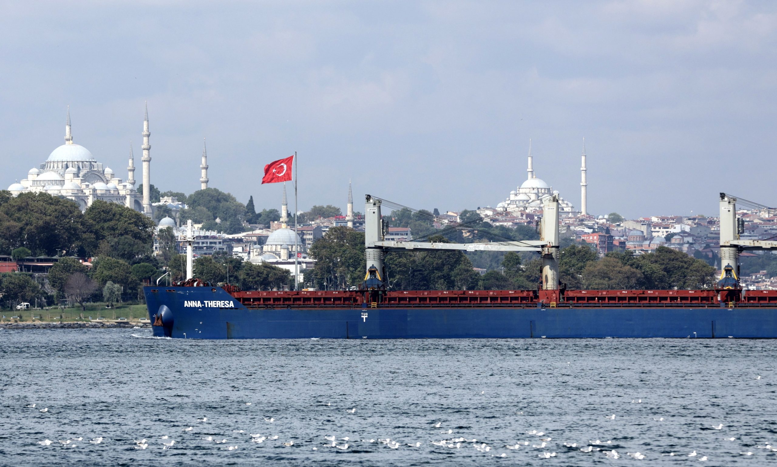 Navio carregado com três mil toneladas de trigo ucraniano chegou a Istambul
