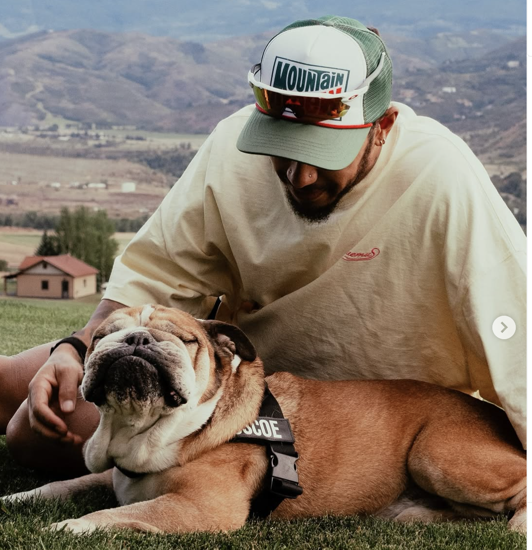 Roscoe, cão de Hamilton, não resistiu ao internamento