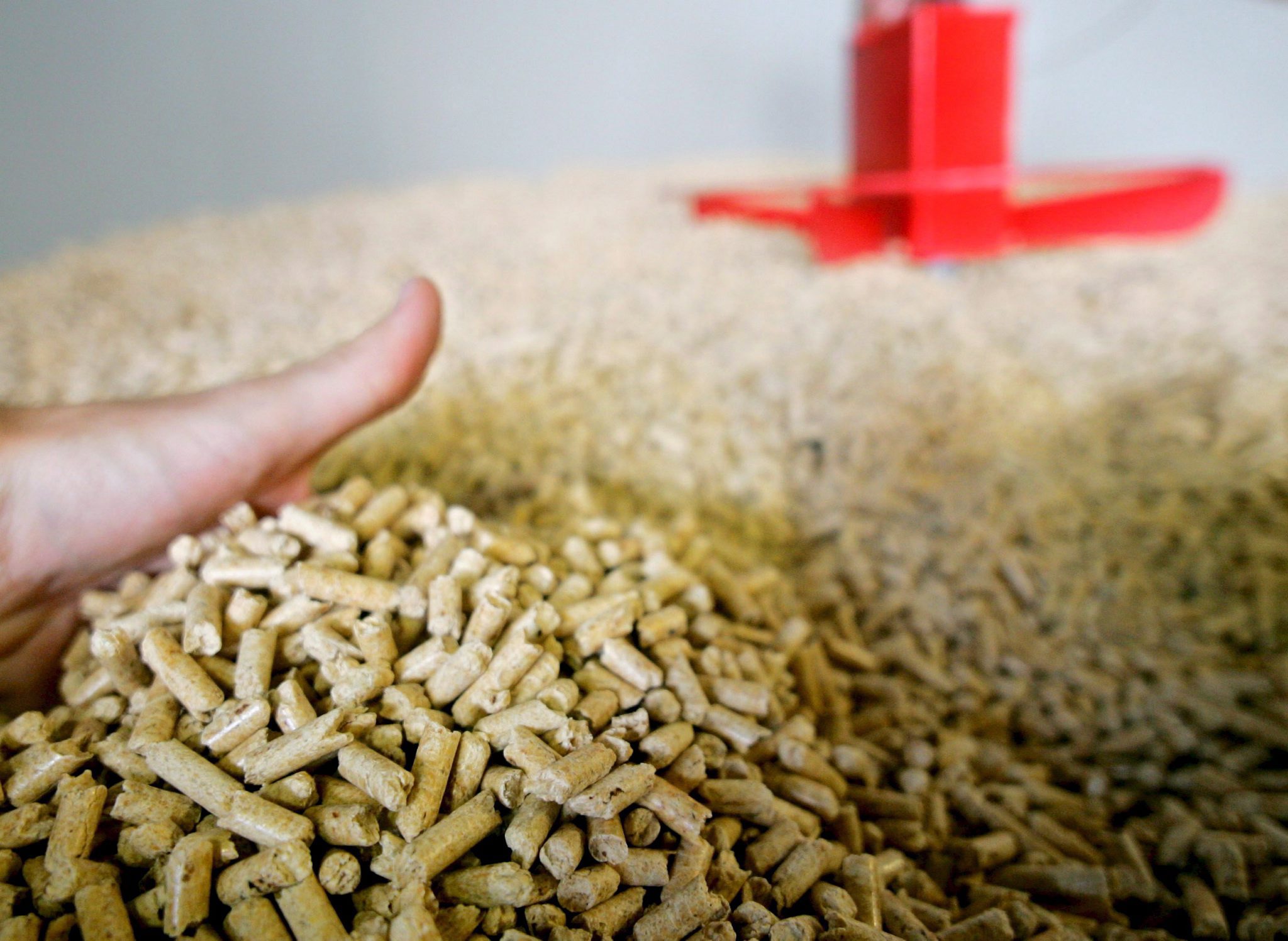 Indústria de ‘pellets’ põe em causa floresta portuguesa, alerta associação Zero