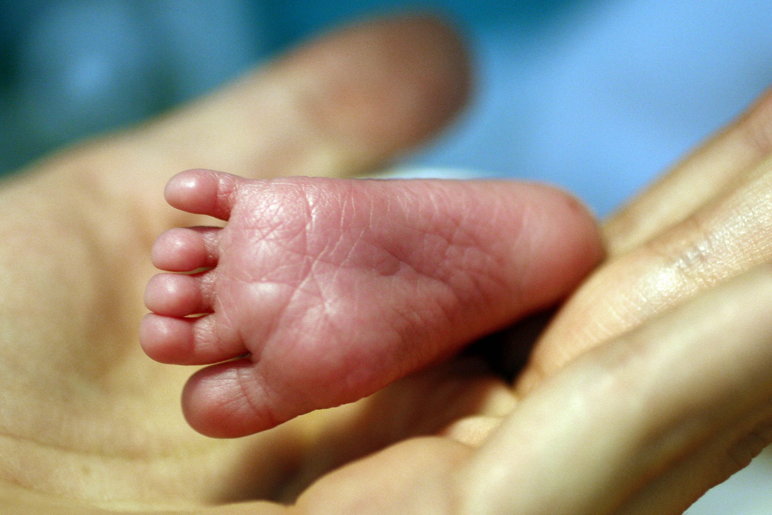 Menos bebés? Ter filhos é “um projeto de futuro” e a “instabilidade é muito grande”